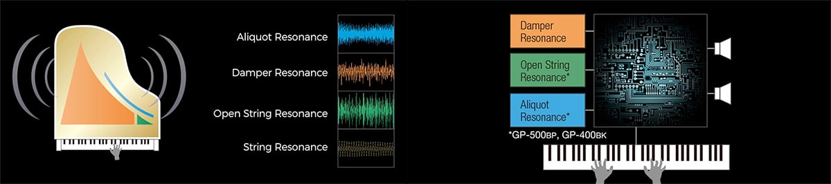 Simulateur Acoustique Casio