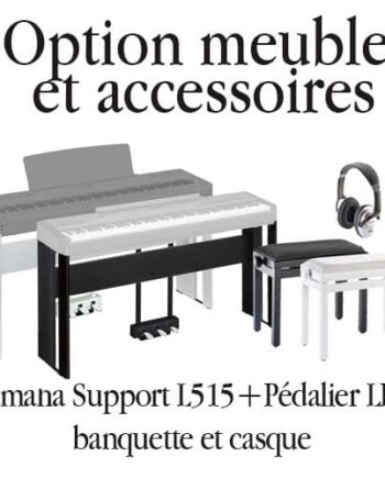 Option meuble et accessoires assortis