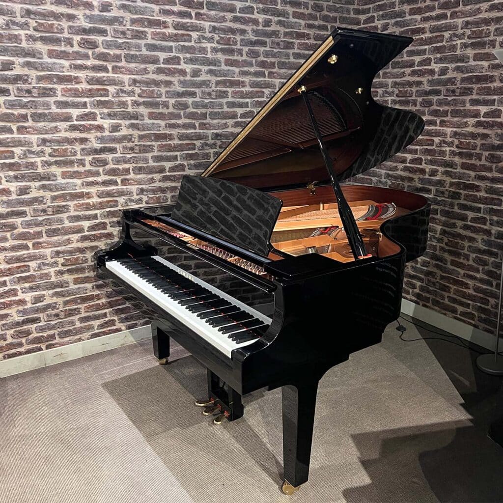 occasion yamaha C5x 2024